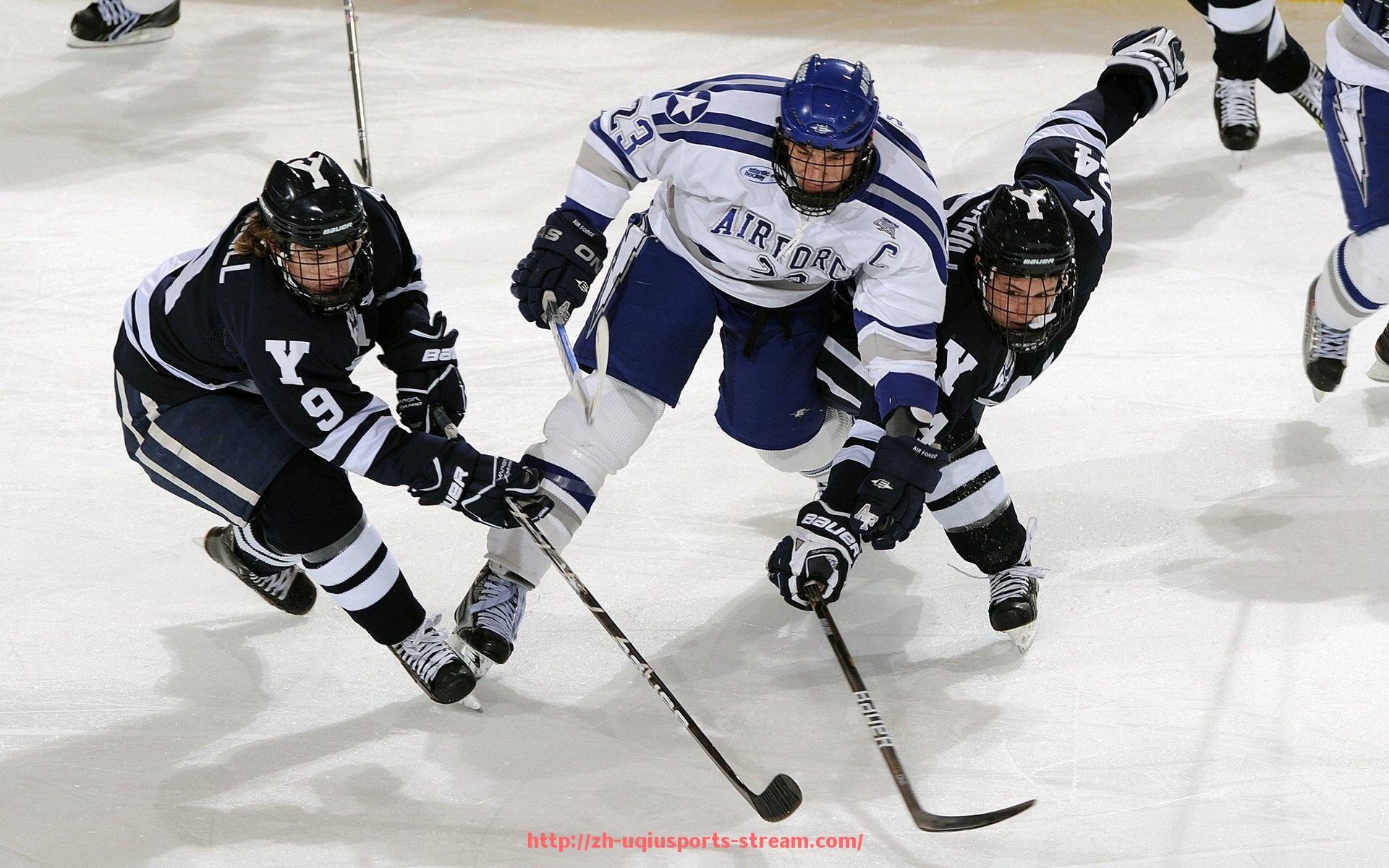 U球体育直播-世俱杯球迷文化探讨专题，全球球迷的独特表达方式
